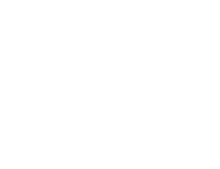 NVT Villas logo